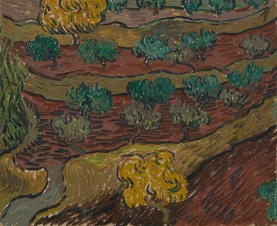 Ulivi su una collina da Vincent van Gogh